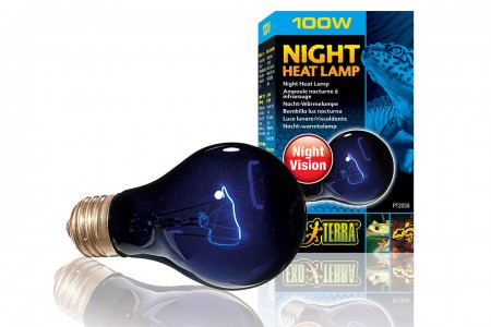Лампа накаливания  для террариума Exo Terra Night Heat Lamp, 100 Вт