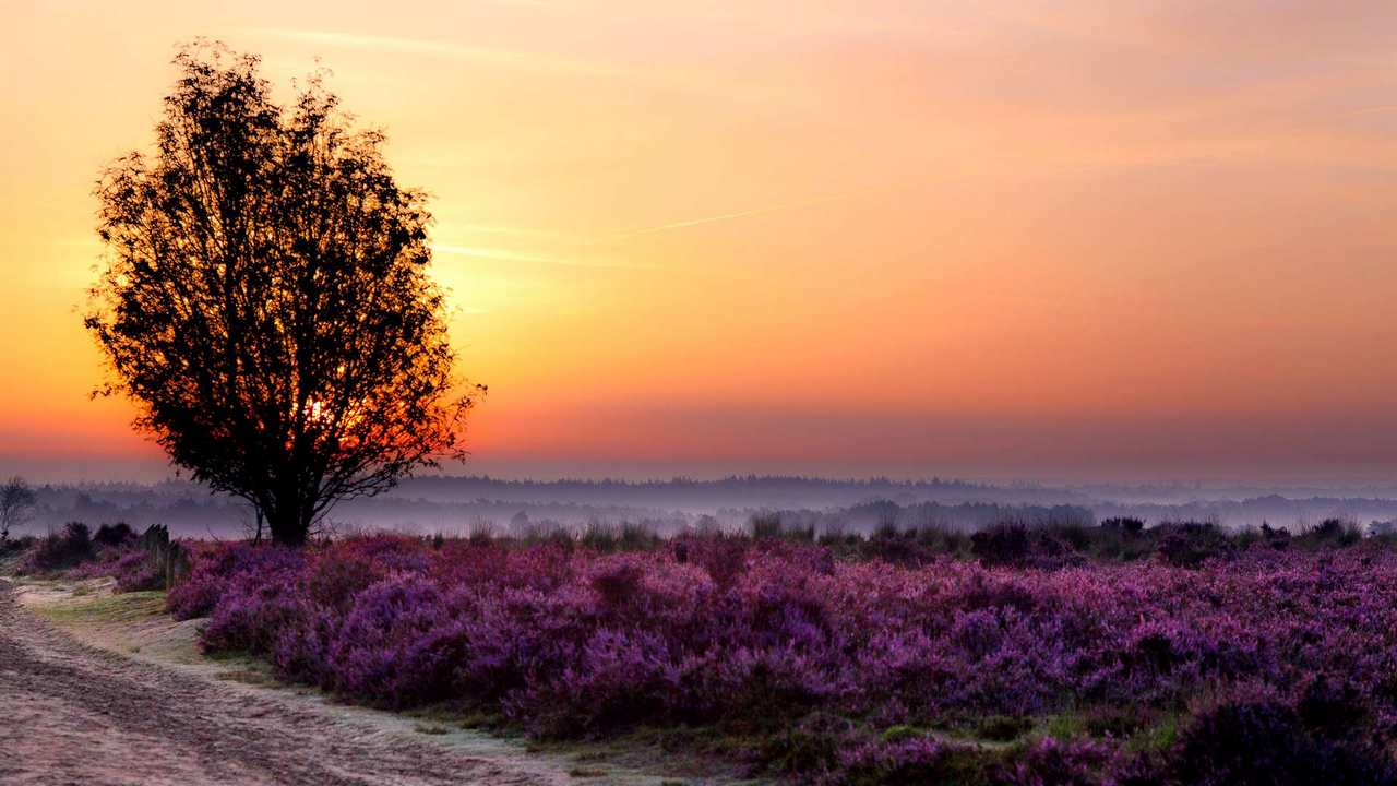 

Картина на холсте 60x110 LinxOne "Природа, пейзаж, натура, флора