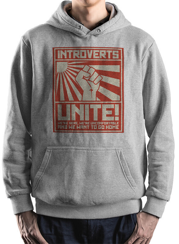 

Худи мужское Dream Shirts Интроверты объединяйтесь! серое 46 RU, Интроверты объединяйтесь!