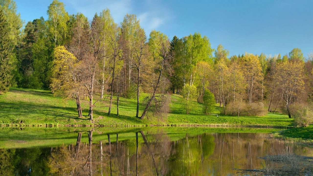 

Картина на холсте 60x110 LinxOne "Природа, пейзаж, натура, флора