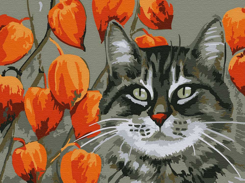 

Картина по номерам Molly Мечтатель, 15x20, Мечтатель