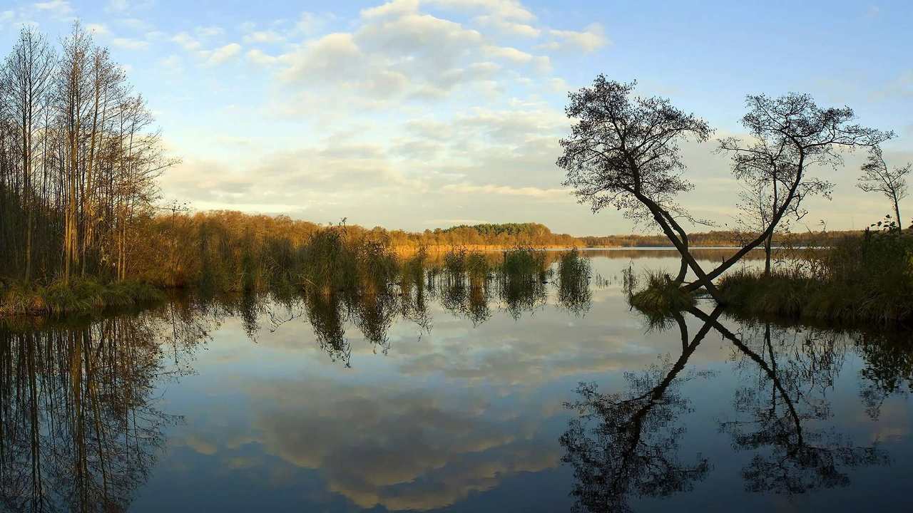 

Картина на холсте 60x110 LinxOne "Природа, пейзаж, натура, флора