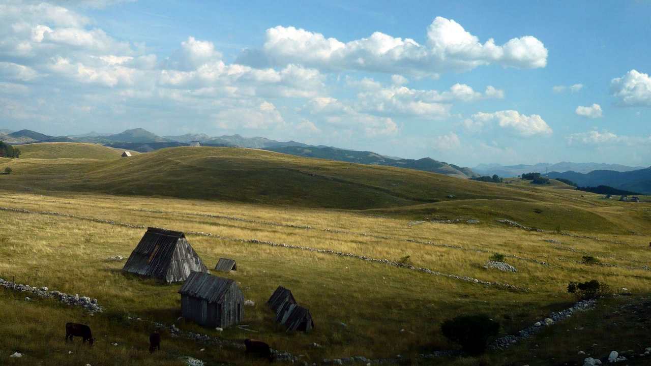 

Картина на холсте 60x110 LinxOne "Природа, пейзаж, натура, флора