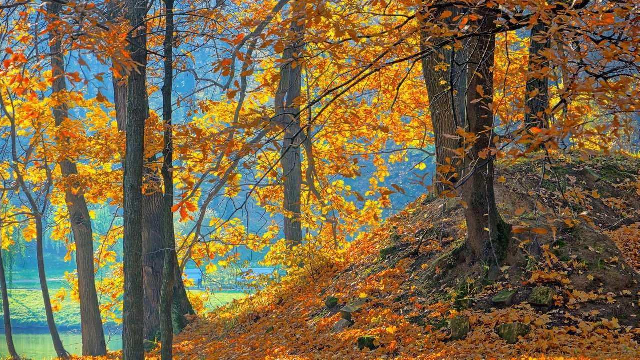 

Картина на холсте 60x110 LinxOne "Природа, пейзаж, натура, флора