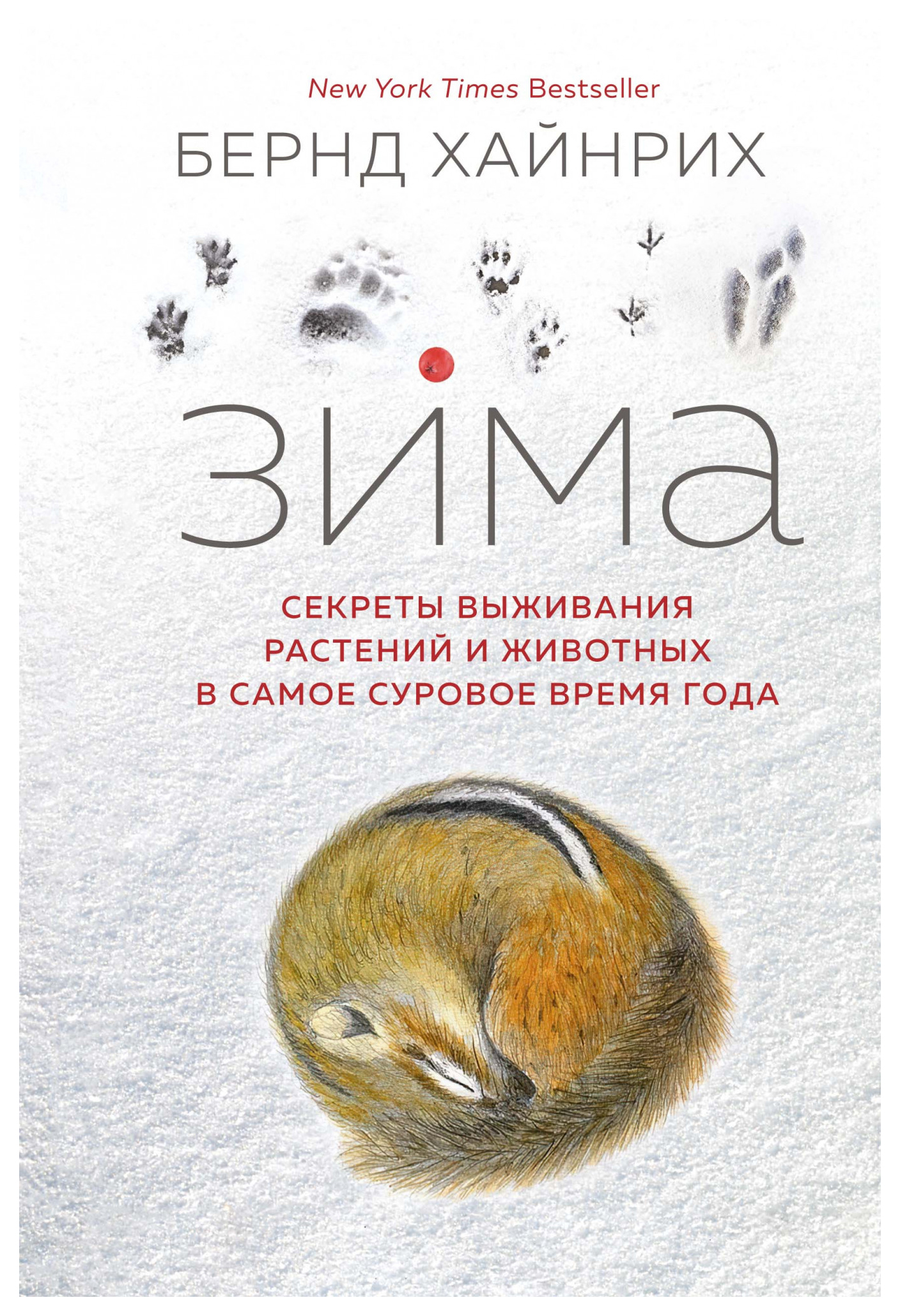 

Зима. Секреты выживания растений и животных в самое суровое время года