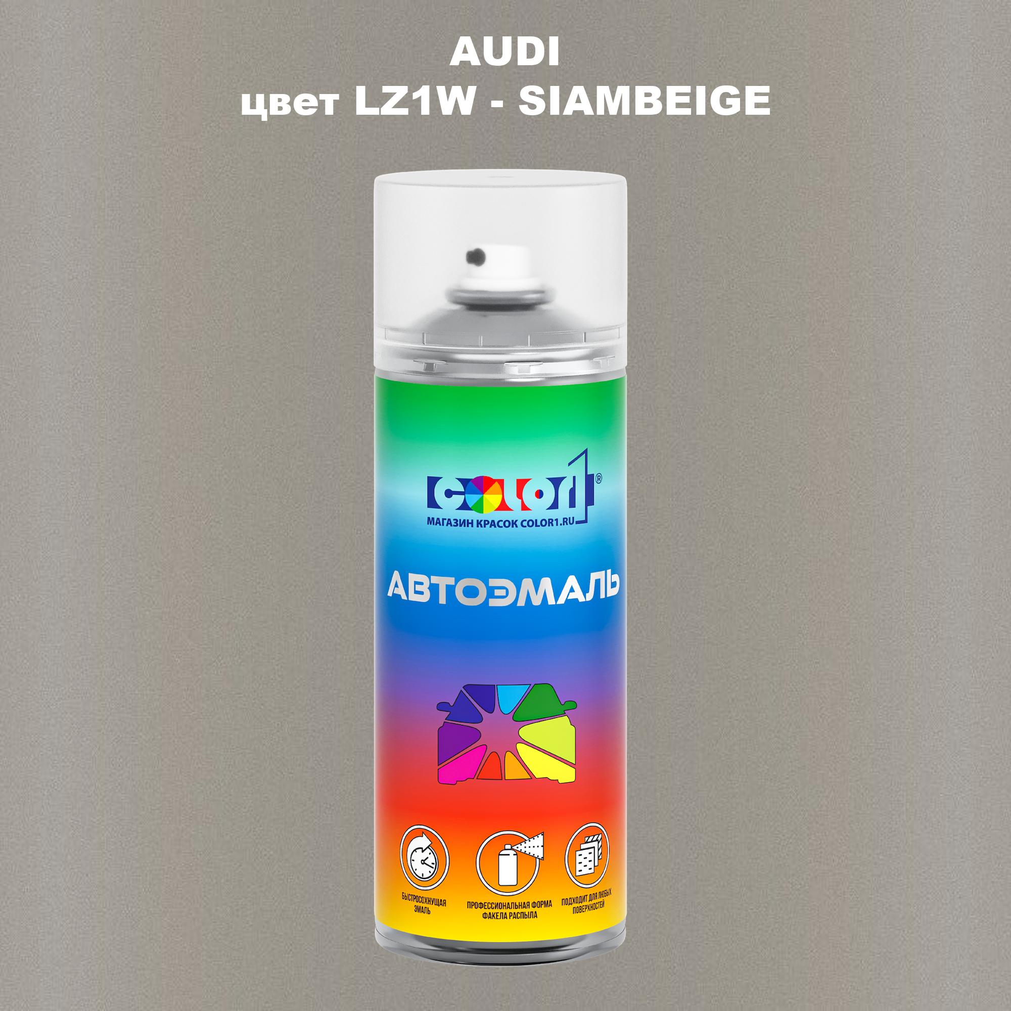 

Аэрозольная краска AUDI, цвет LZ1W - SIAMBEIGE, Прозрачный