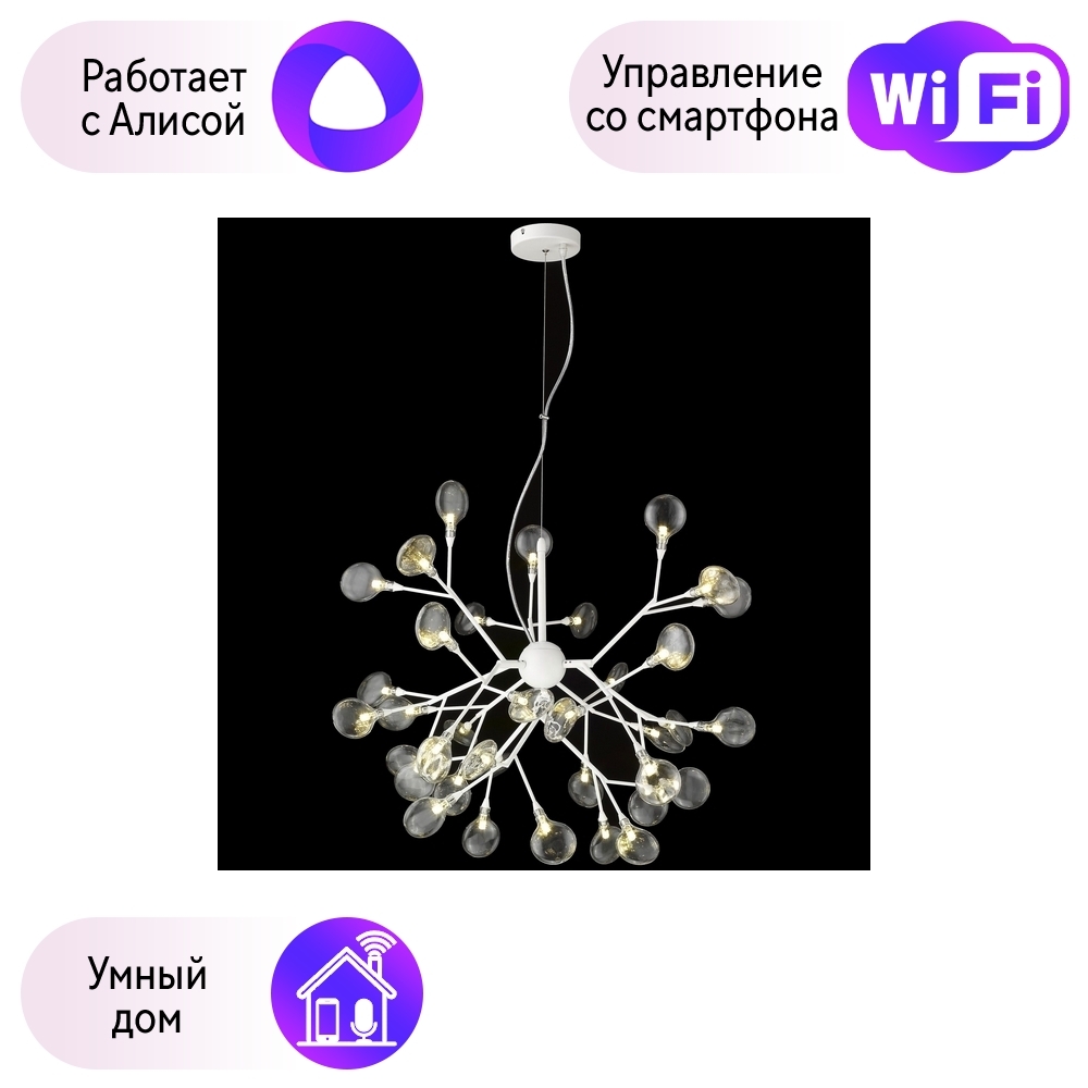 

Подвесная люстра Wertmark Fiorita с поддержкой Алиса WE241.36.003-A