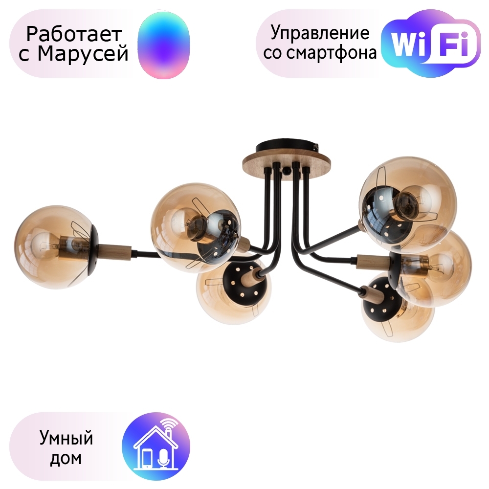 

Потолочная люстра Oxford Arte lamp с поддержкой Маруся A2716PL-6BK-М
