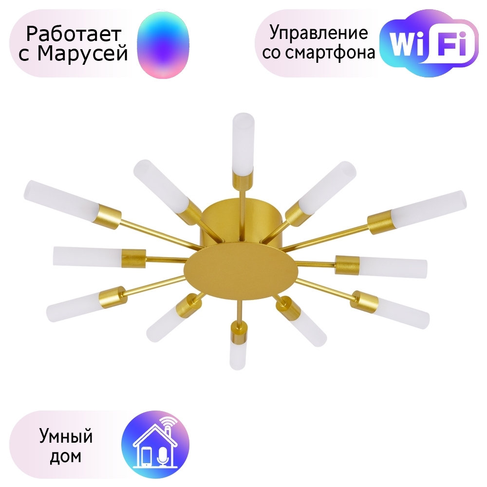 

Потолочная люстра Arte Lamp Maple с поддержкой Маруся A1276PL-12GO-М