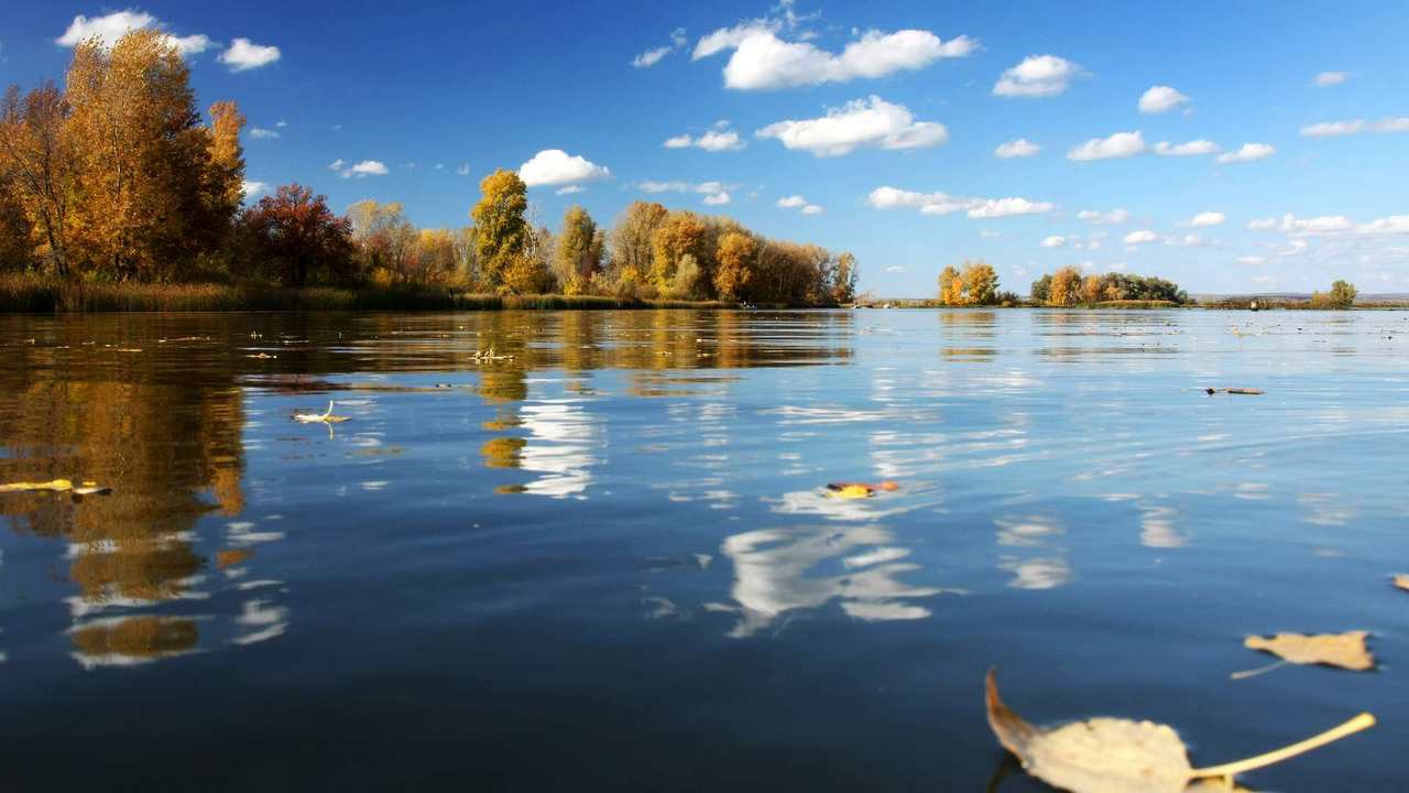 

Картина на холсте 60x110 LinxOne "Природа, пейзаж, натура, флора