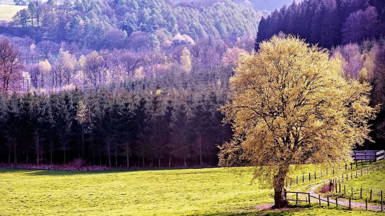 

Картина на холсте 60x110 LinxOne "Природа, пейзаж, натура, флора