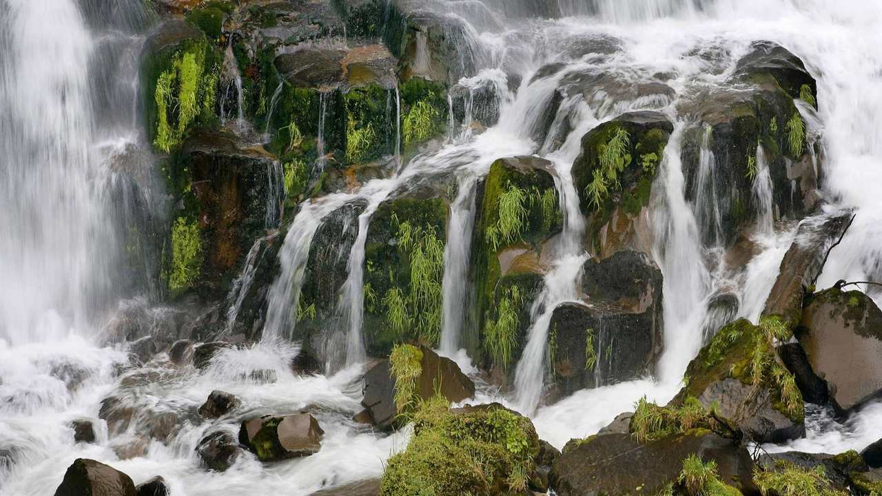 

Картина на холсте 60x110 LinxOne "Природа, пейзаж, натура, флора