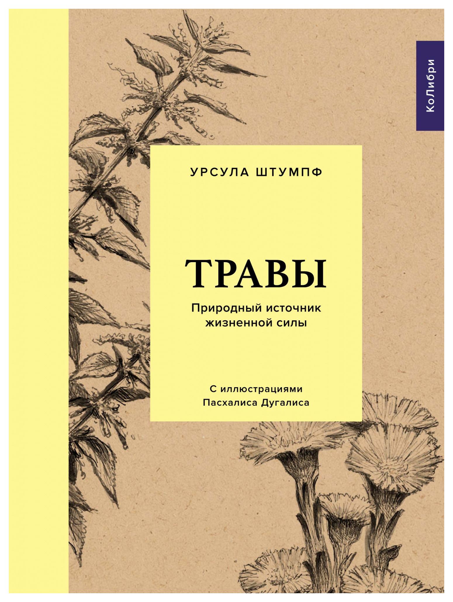 

Травы: Природный источник жизненной силы