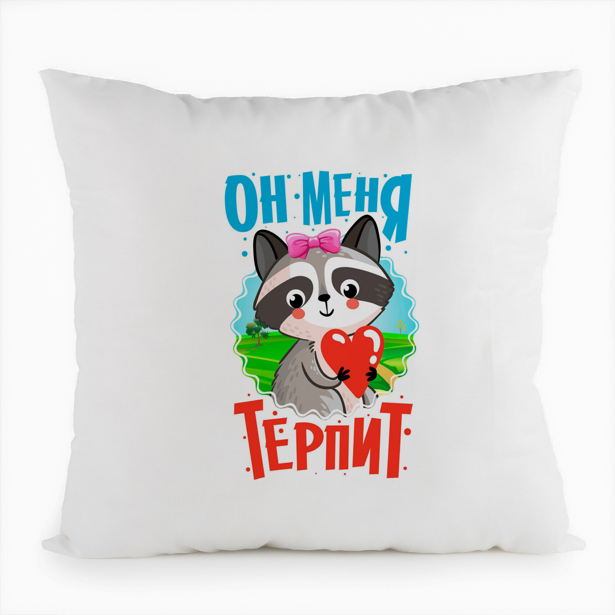 

Подушка белая CoolPodarok Енот. Он меня терпит, Белый