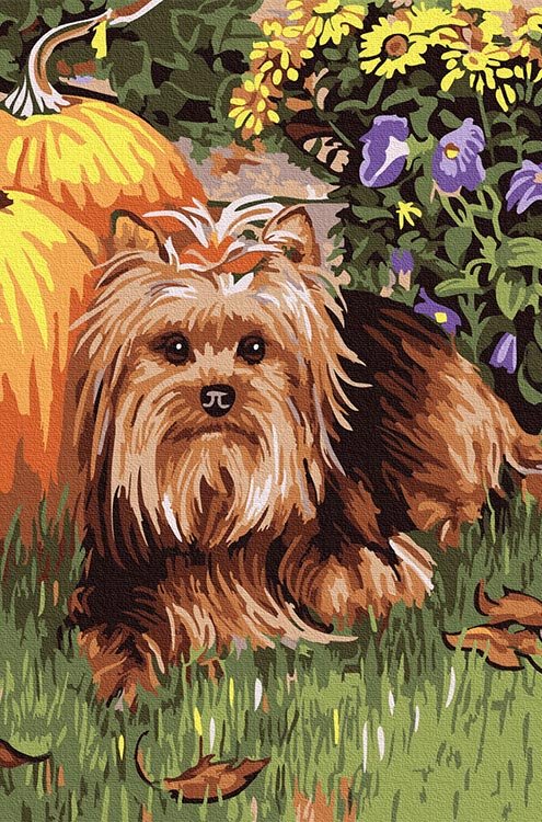 

Картина по номерам Molly Йорк, 20x30, Йорк