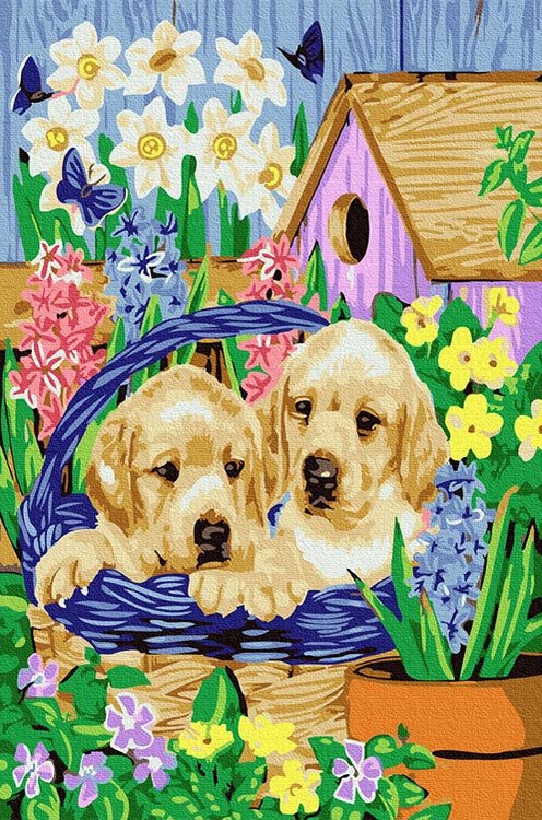

Картина по номерам Molly Щенки лабрадора, 20x30, Щенки лабрадора