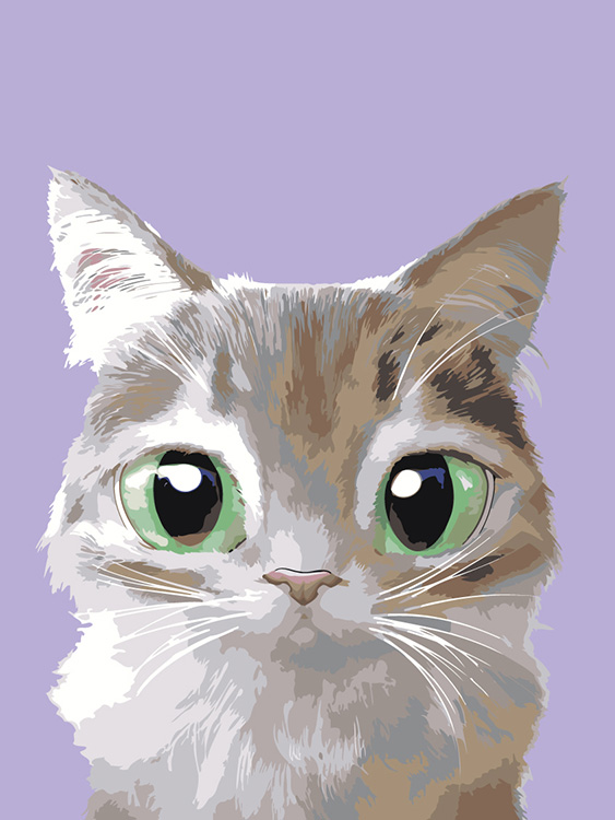 

Картина по номерам Живопись по Номерам Котенок Принц, 30x40, Котенок Принц