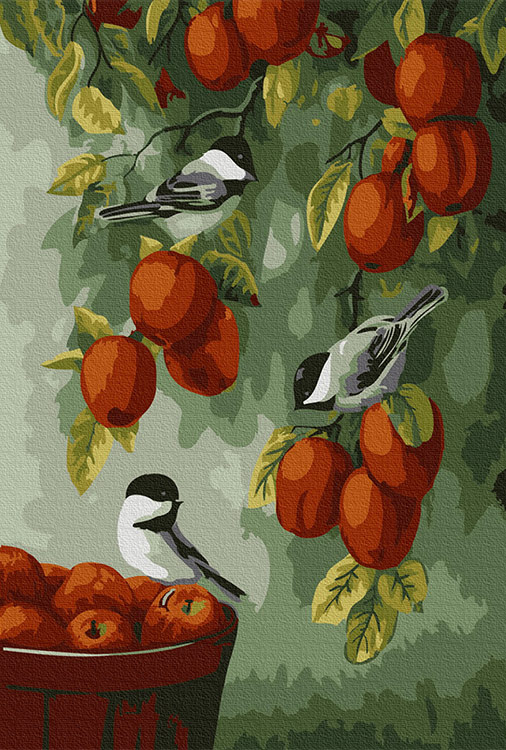 

Картина по номерам Molly Яблоневый сад, 20x30, Яблоневый сад