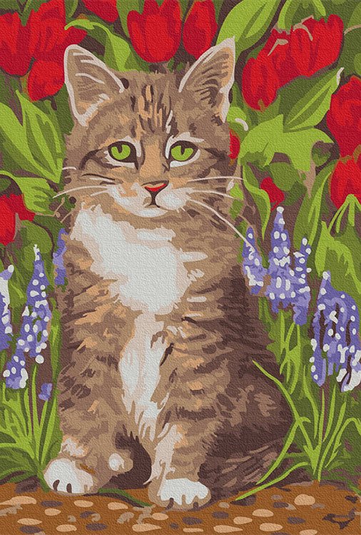 

Картина по номерам Molly Котенок в саду, 20x30, Котенок в саду