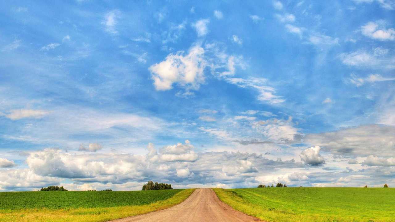 

Картина на холсте 60x110 LinxOne "Природа, пейзаж, натура, флора