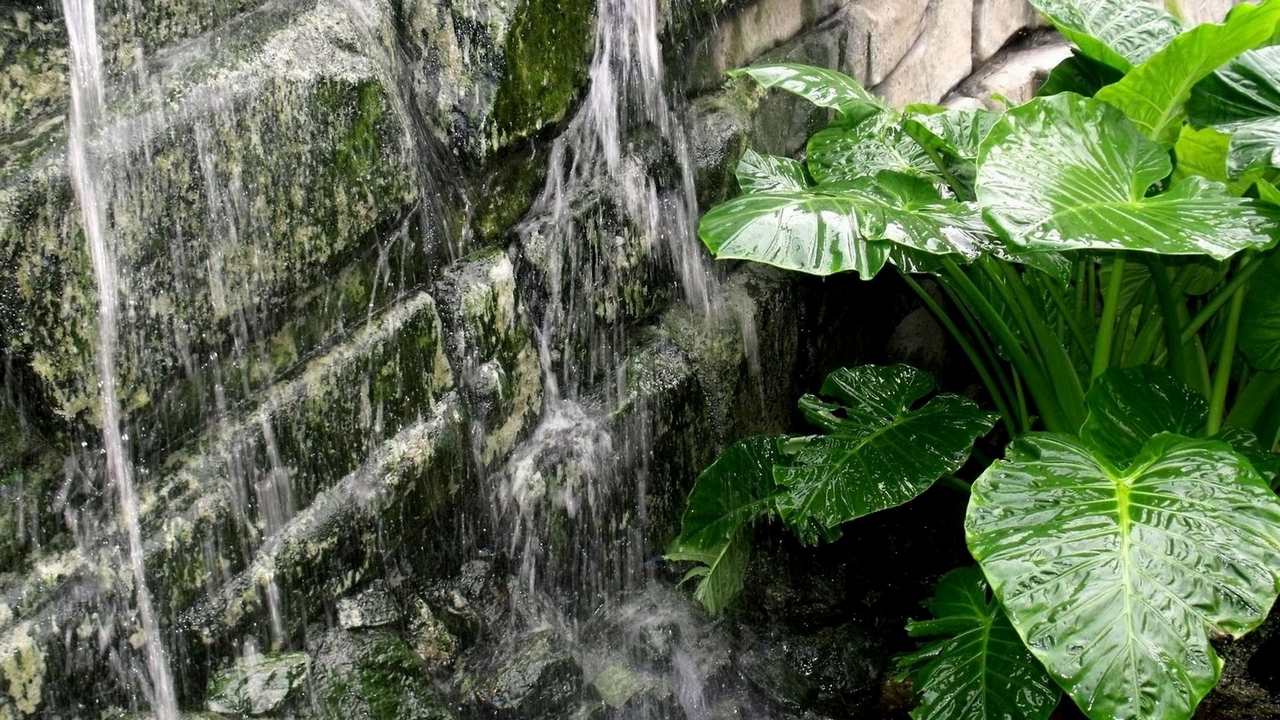 

Картина на холсте 60x110 LinxOne "Природа, пейзаж, натура, флора