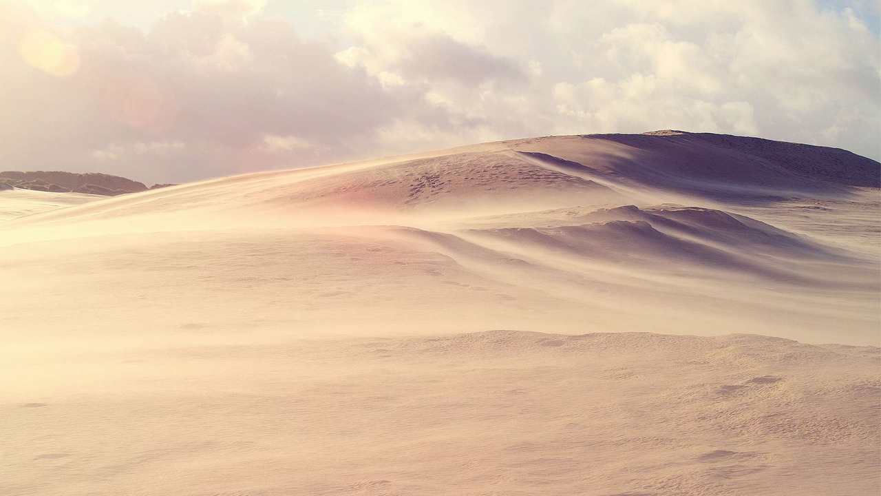 

Картина на холсте 60x110 LinxOne "Природа, пейзаж, натура, флора