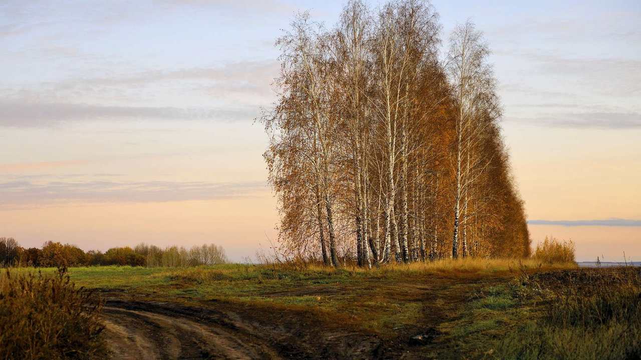 

Картина на холсте 60x110 LinxOne "Природа, пейзаж, натура, флора
