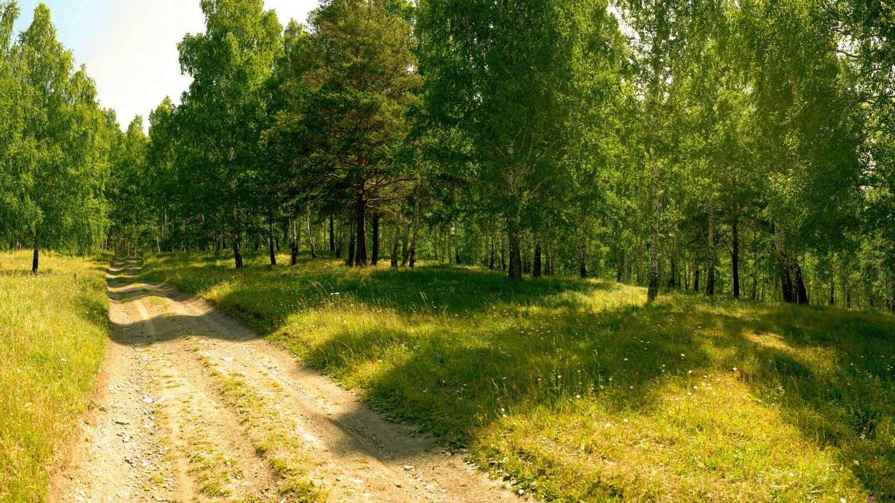 

Картина на холсте 60x110 LinxOne "Природа, пейзаж, натура, флора