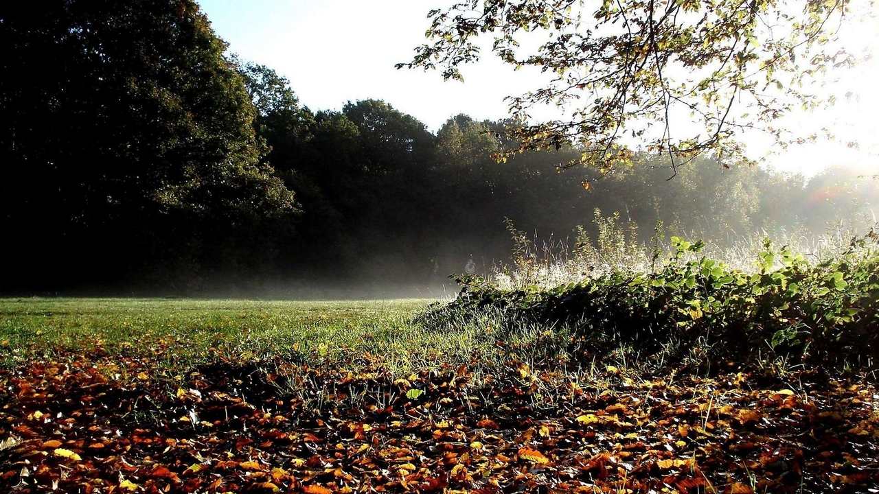 

Картина на холсте 60x110 LinxOne "Природа, пейзаж, натура, флора