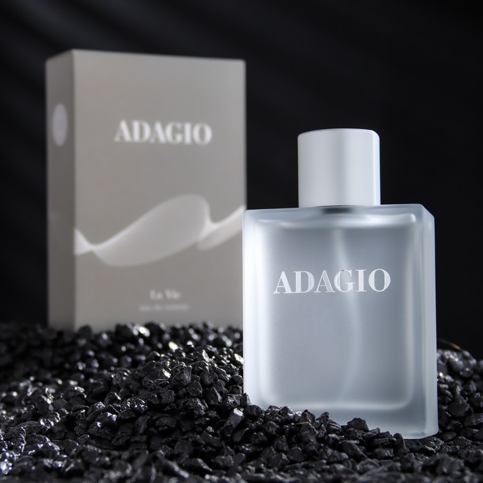

Туалетная вода мужская Adagio, 100 мл