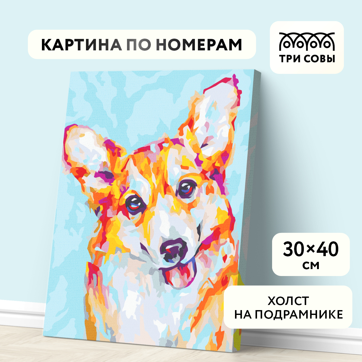 

ТРИ СОВЫ на холсте Корги 30х40 см с красками и кистями, на холсте, "Корги", 30х40 см, с красками и кистями