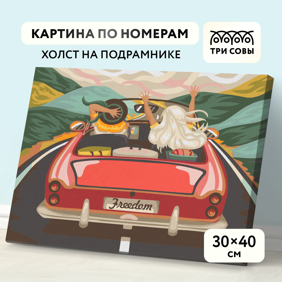 

ТРИ СОВЫ на холсте В лето на кабриолете 30х40 см краски и кисти, на холсте, "В лето на кабриолете", 30х40 см, краски и кисти