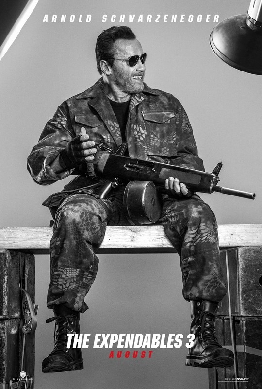 

Постер к фильму "Неудержимые 3" (The Expendables 3) A3