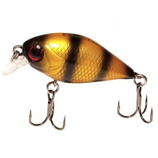 

Воблер Mottomo CHUBBER 36F 3.8гр # Bumblebee, Золотистый, CHUBBER 36F-DR