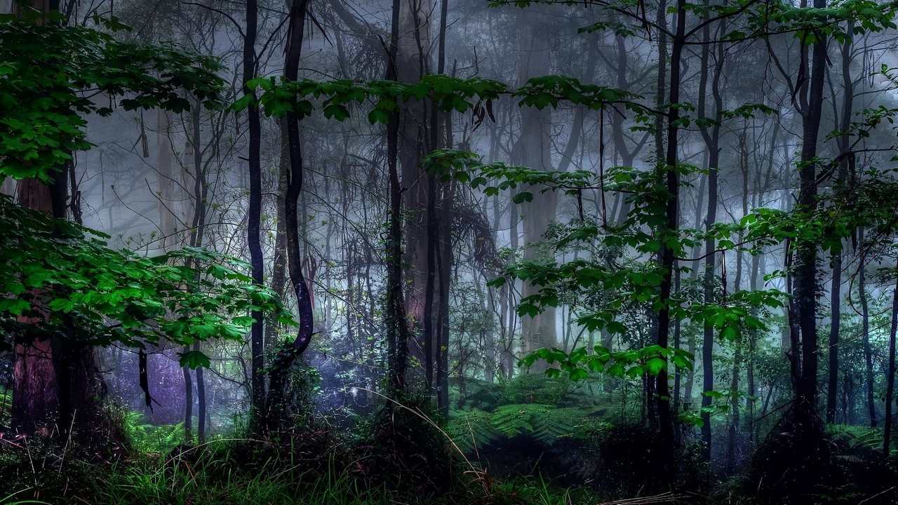 

Картина на холсте 60x110 LinxOne "Природа, пейзаж, натура, флора