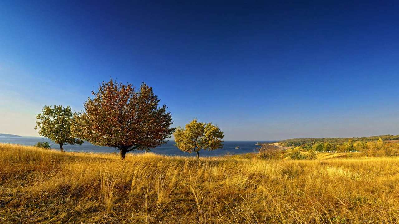 

Картина на холсте 60x110 LinxOne "Природа, пейзаж, натура, флора