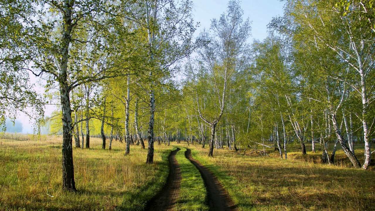 

Картина на холсте 60x110 LinxOne "Природа, пейзаж, натура, флора