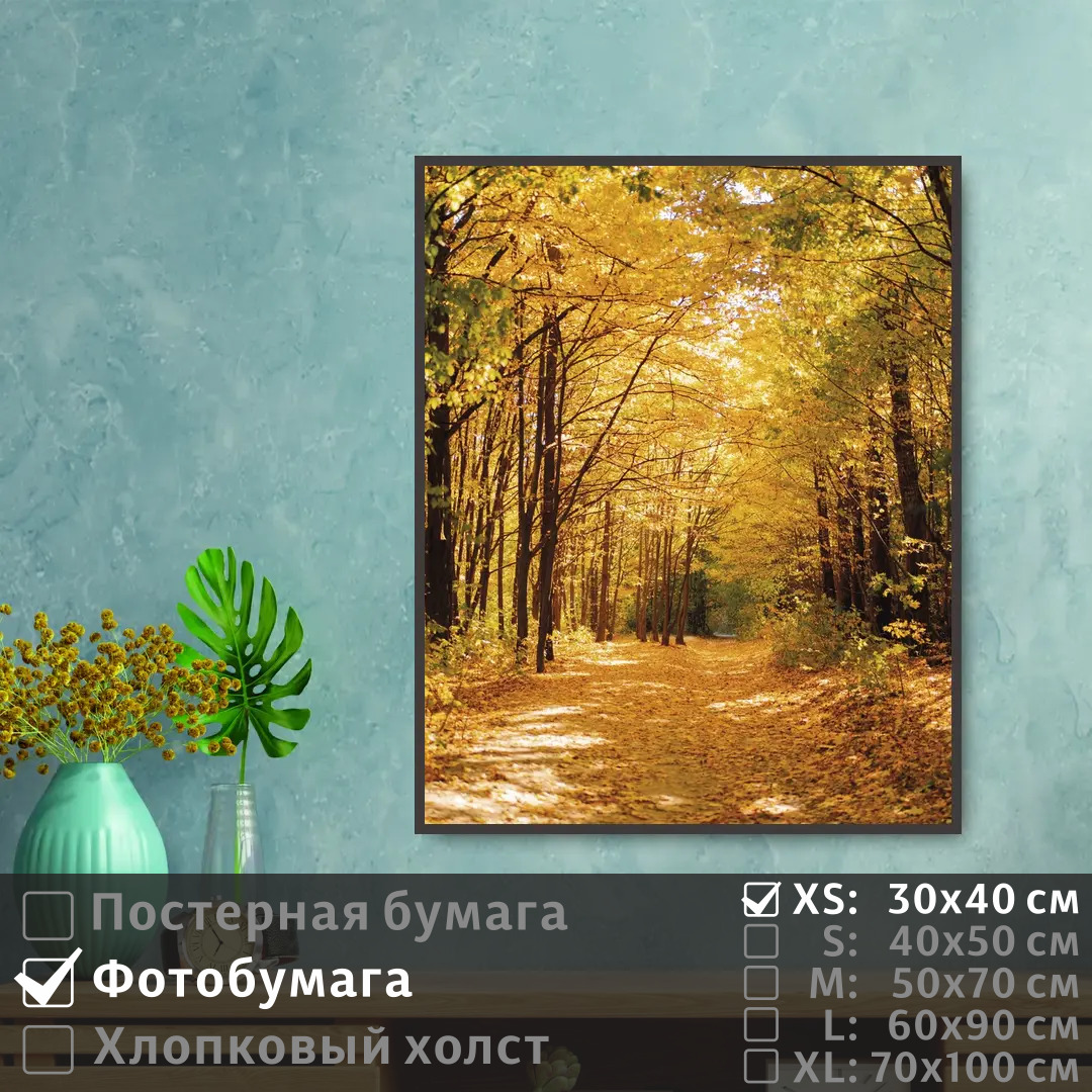 

Постер на фотобумаге ПолиЦентр Тропинка в осеннем лесу 40х50 см, ТропинкаВОсеннемЛесу