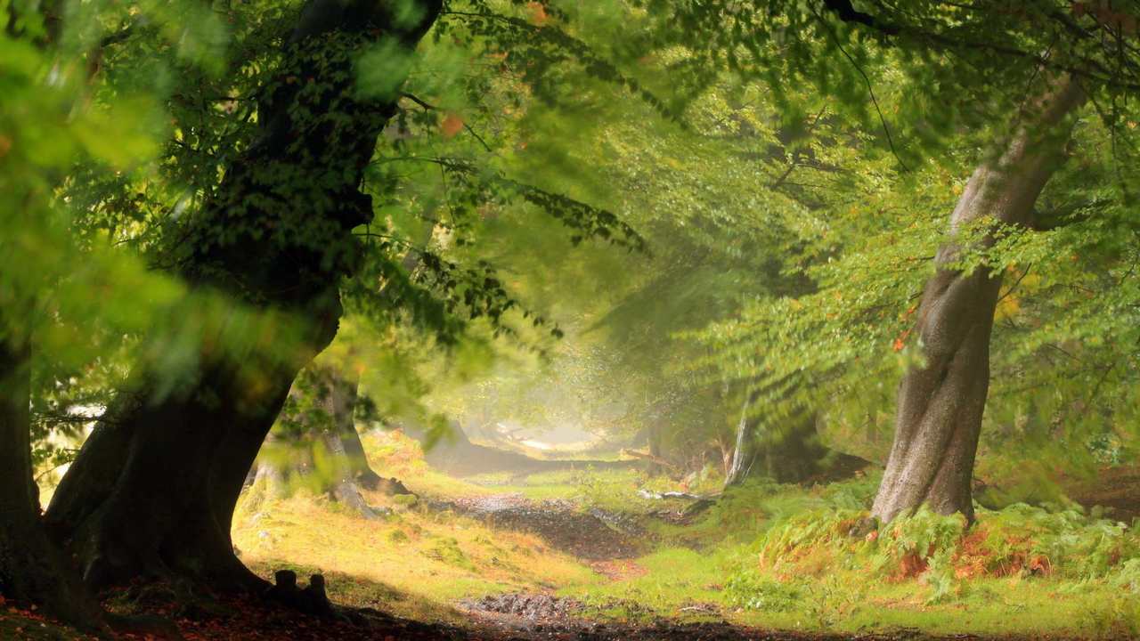 

Картина на холсте 60x110 LinxOne "Природа, пейзаж, натура, флора