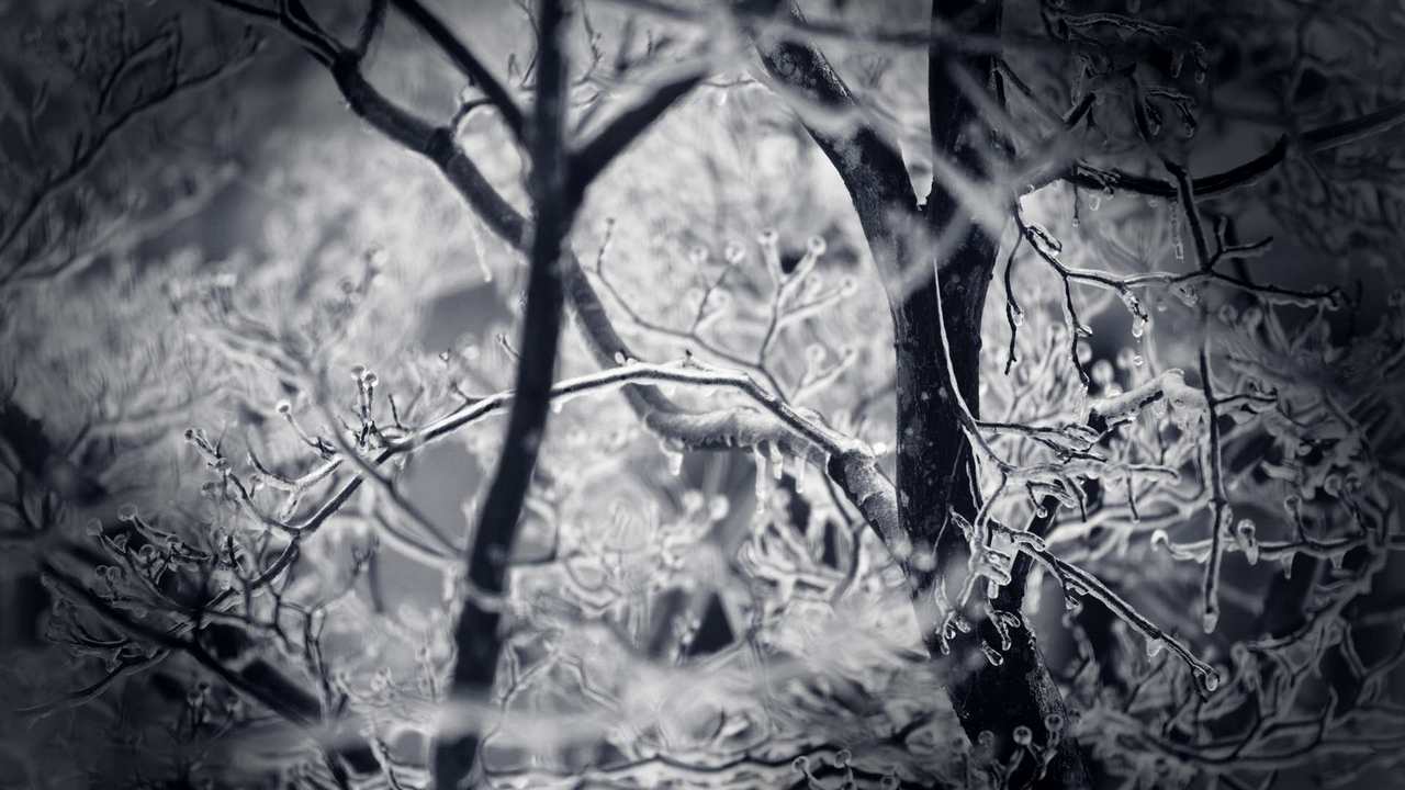 

Картина на холсте 60x110 LinxOne "Природа, пейзаж, натура, флора