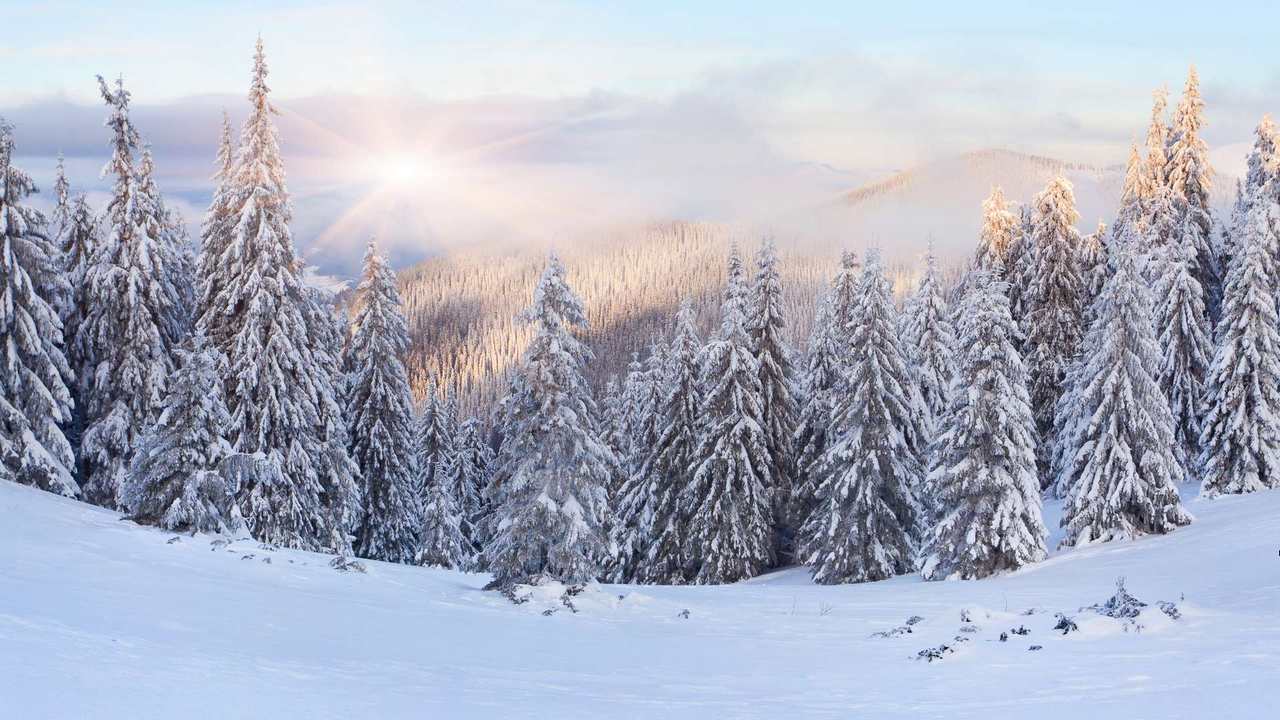 

Картина на холсте 60x110 LinxOne "Природа, пейзаж, натура, флора