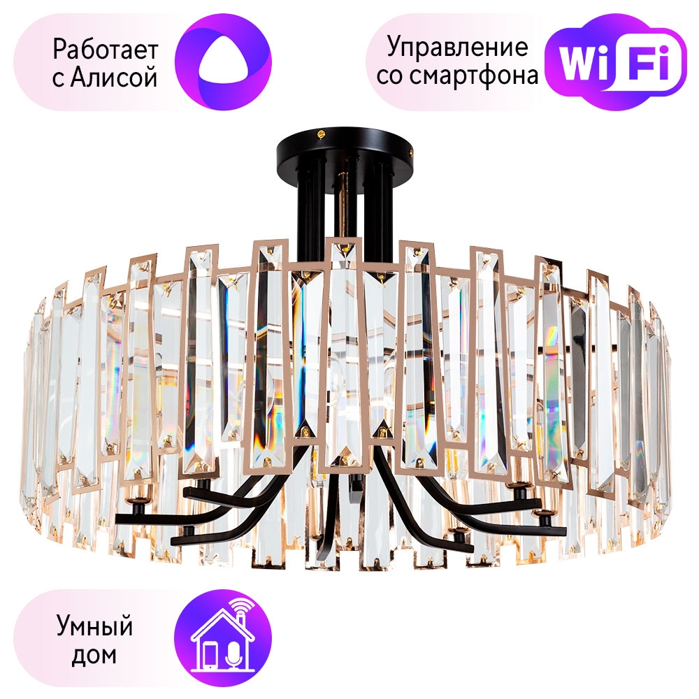 

Потолочный светильник Arte Lamp Amber с поддержкой Алиса A1028PL-8BK-A