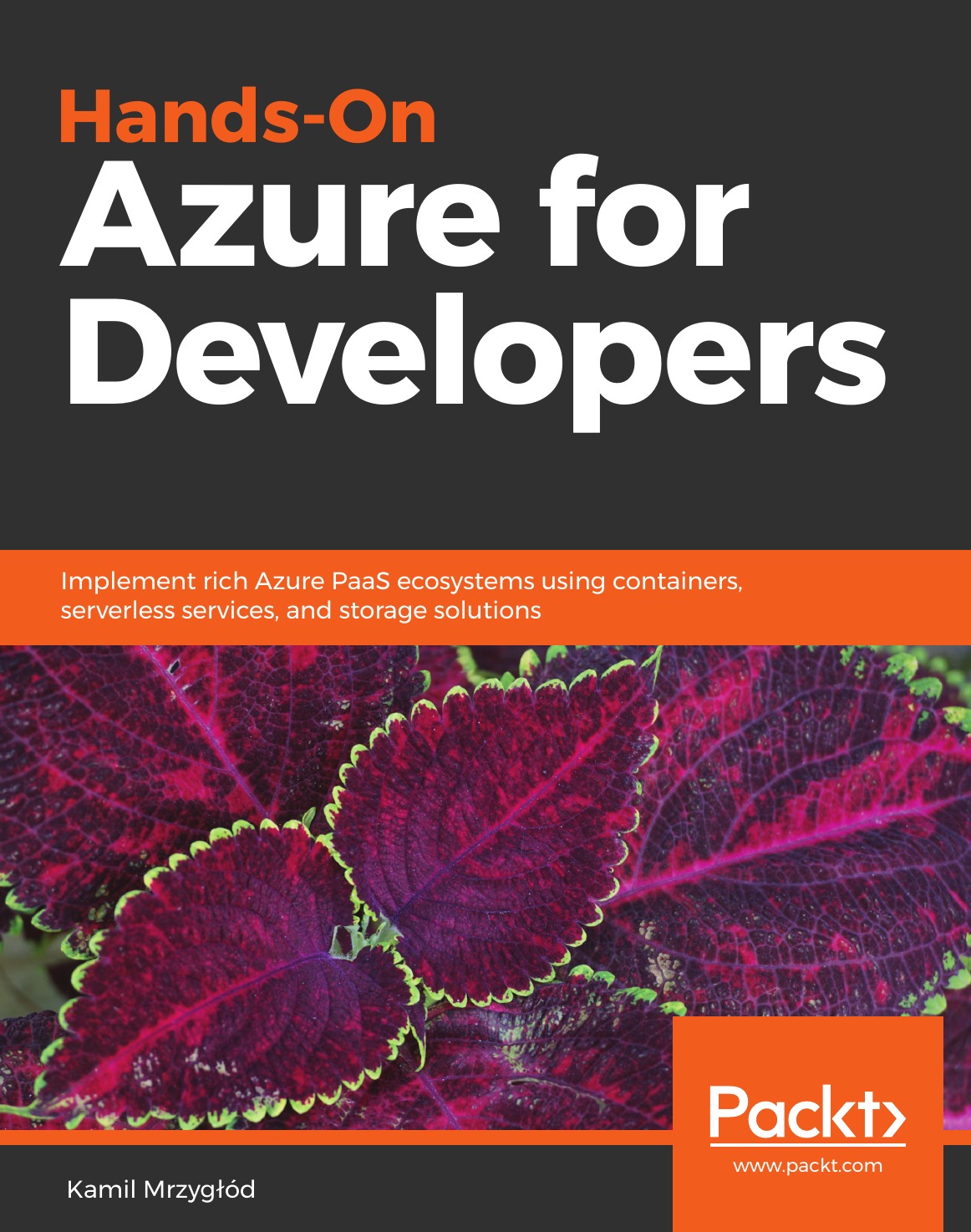 

Hands-On Azure for Developers