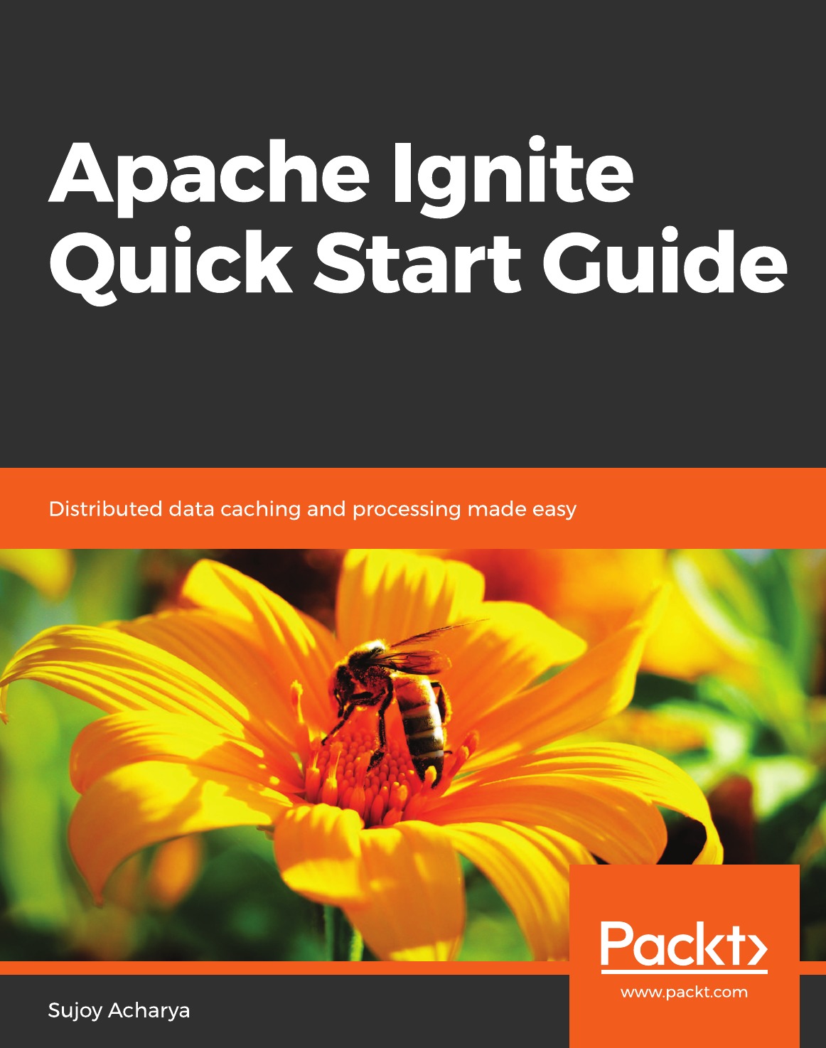 

Apache Ignite Quick Start Guide