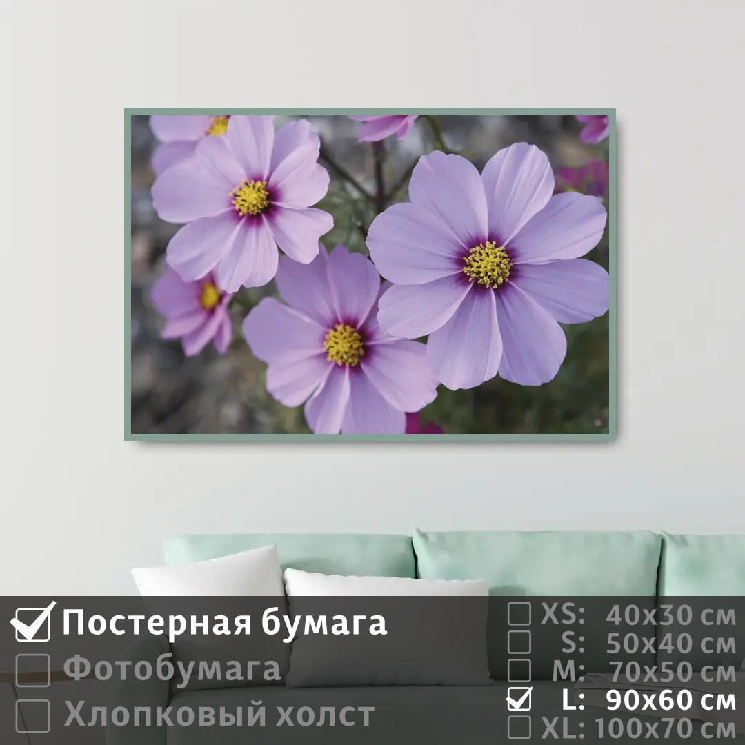 

Постер на стену ПолиЦентр Летние сиреневые цветы 90х60 см, ЛетниеСиреневыеЦветы