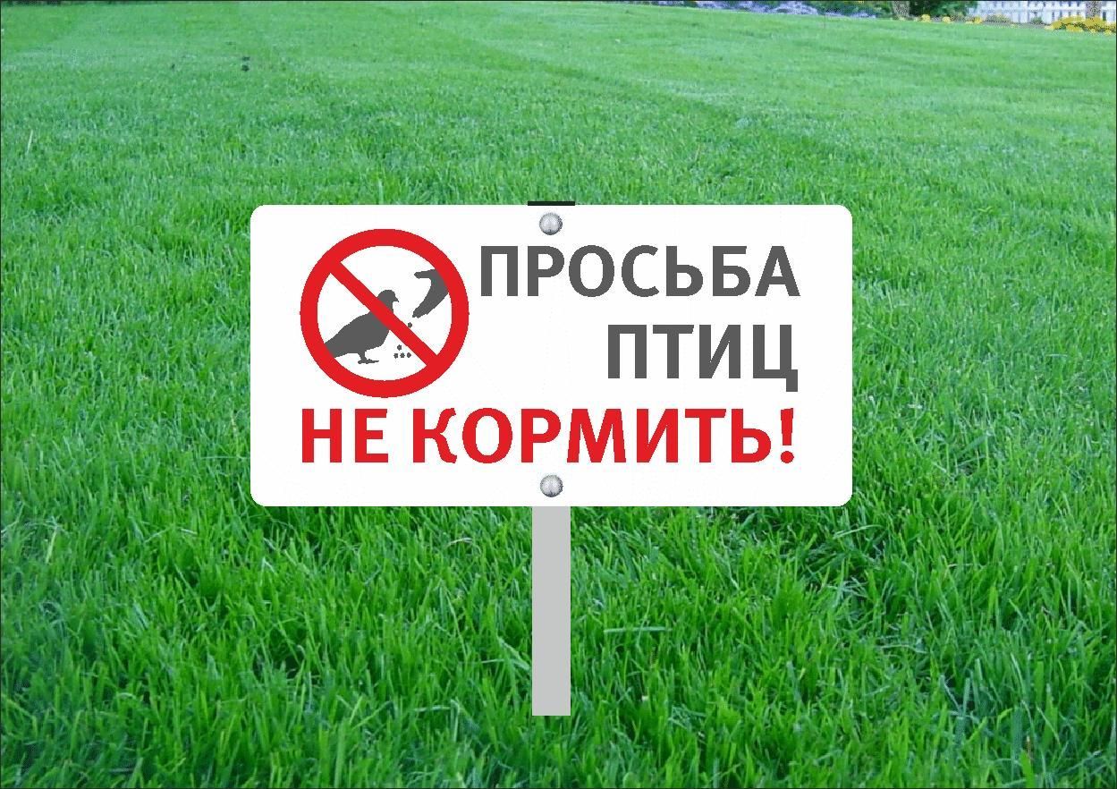

Табличка на стойке-топпер Не кормите птиц! 40х20см, Белый;красный;черный, Не кормите птиц!