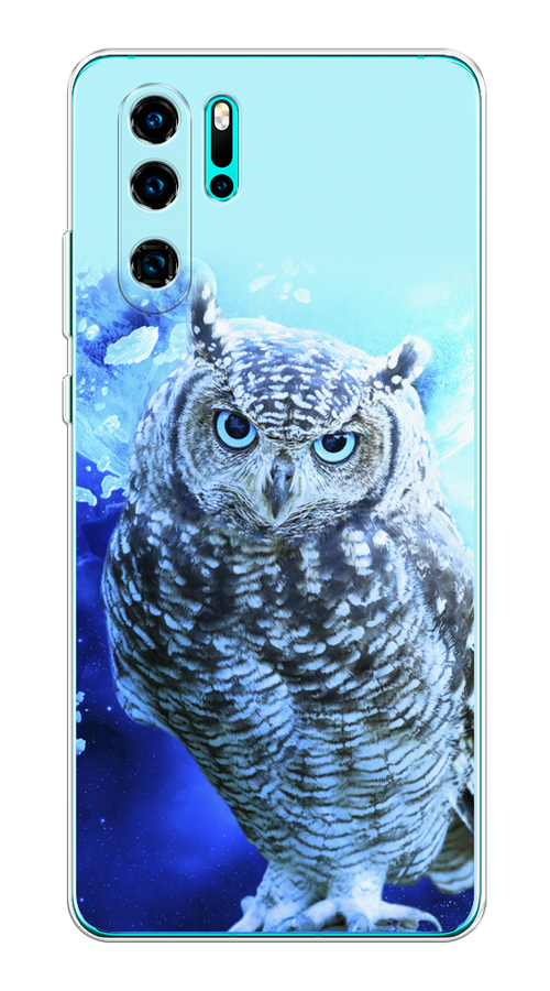 

Чехол Awog на Huawei P30 Pro "Сова арт 7", Разноцветный, 67650-1