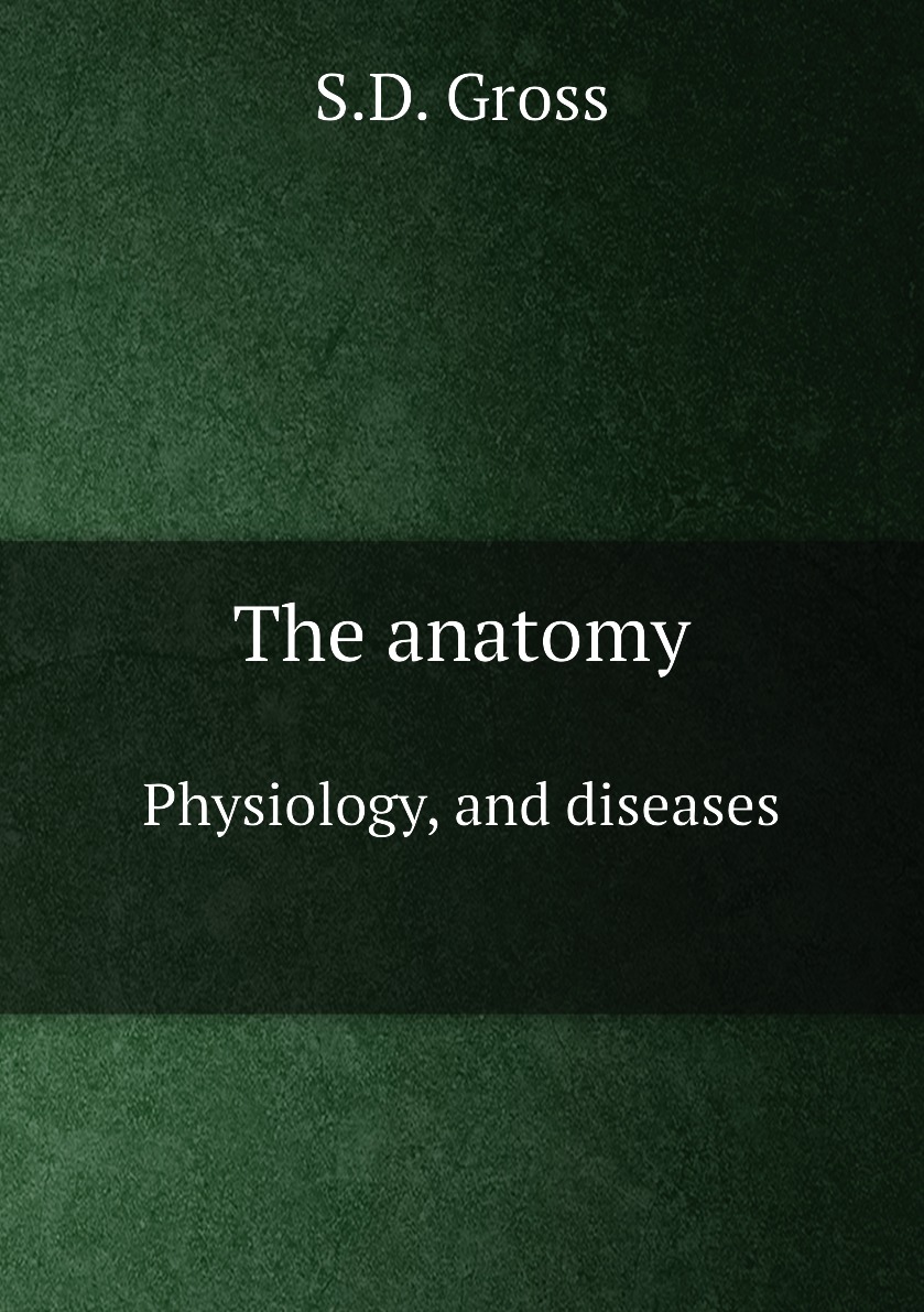 

The anatomy