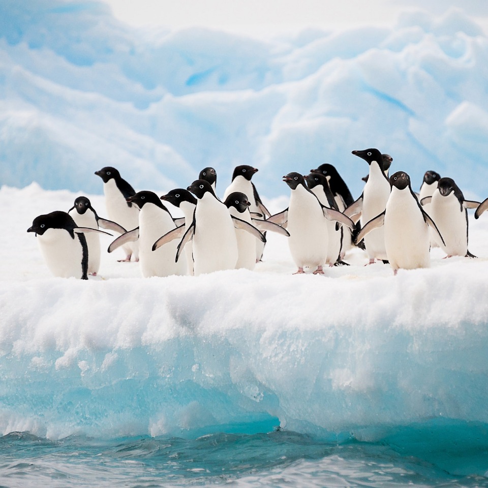

Фотообои For Wall 2726P8