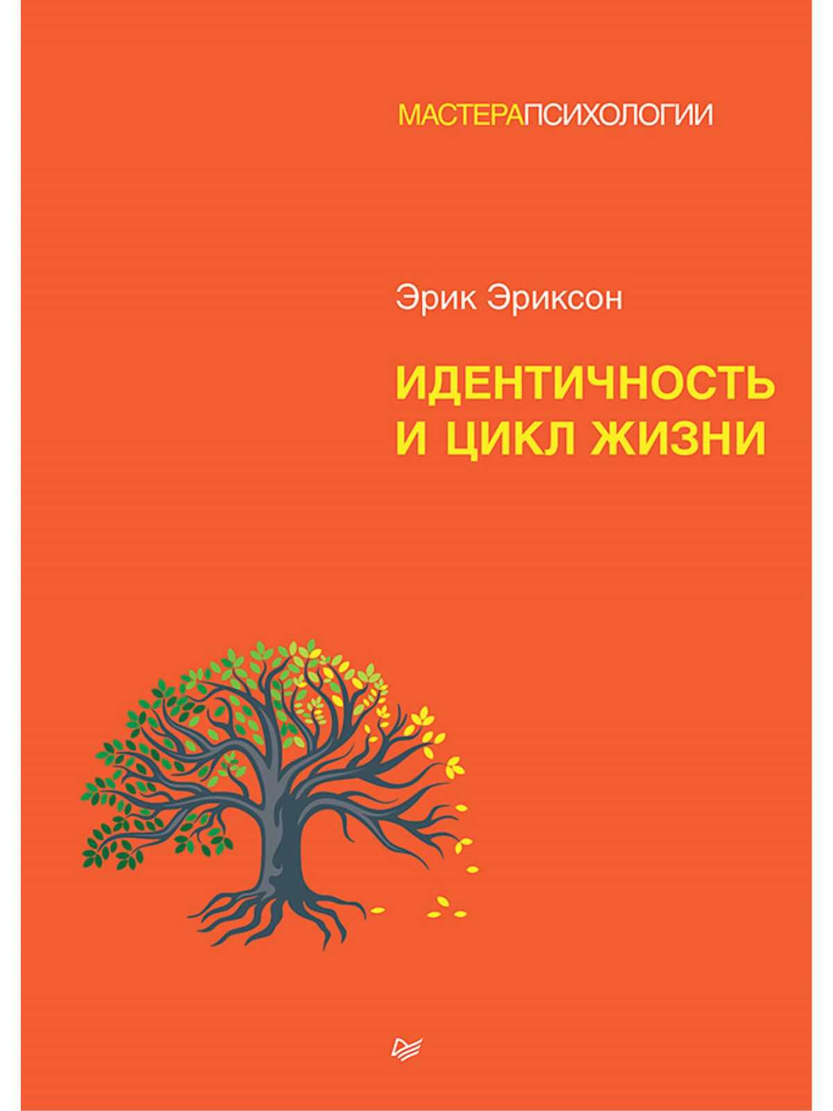 

Идентичность и цикл жизни